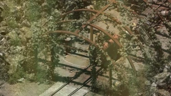 Rauniot Screenshots