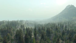 Life is Feudal: Your Own Screenshots