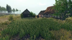 Life is Feudal: Your Own Screenshots