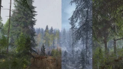 Life is Feudal: Your Own Screenshots