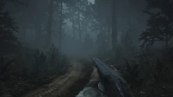 Pine Harbor Screenshots