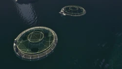Ships At Sea Screenshots