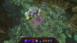 Скриншот к игре Kingdom of Arcana