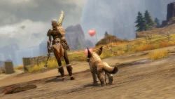 Guild Wars 2: Janthir Wilds Screenshots
