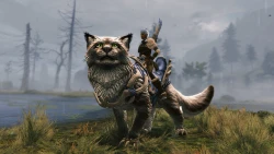 Guild Wars 2: Janthir Wilds Screenshots