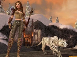 Скриншот к игре Guild Wars