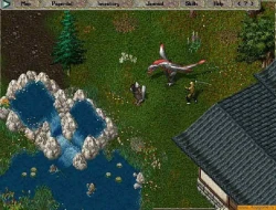 Скриншот к игре Ultima Online: Samurai Empire