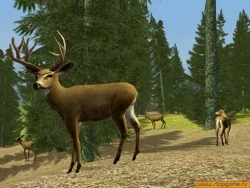 Hunting Unlimited 3 Screenshots