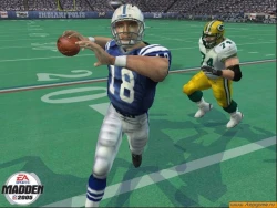 Скриншот к игре Madden NFL 2005