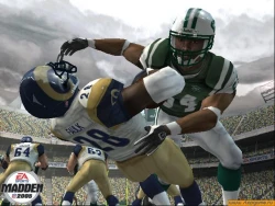 Скриншот к игре Madden NFL 2005