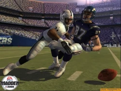 Скриншот к игре Madden NFL 2005