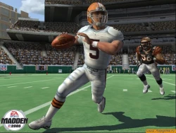 Скриншот к игре Madden NFL 2005