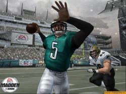 Скриншот к игре Madden NFL 2005