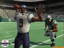 Скриншот к игре Madden NFL 2005