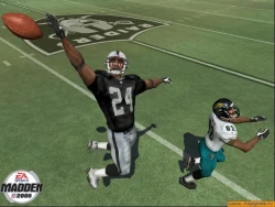 Скриншот к игре Madden NFL 2005
