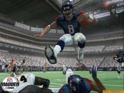 Скриншот к игре Madden NFL 2005