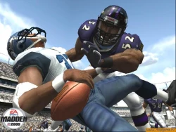 Скриншот к игре Madden NFL 2005