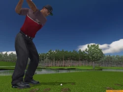 Скриншот к игре Tiger Woods PGA Tour 2005