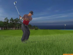 Скриншот к игре Tiger Woods PGA Tour 2005