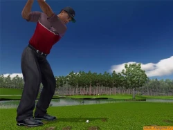 Скриншот к игре Tiger Woods PGA Tour 2005