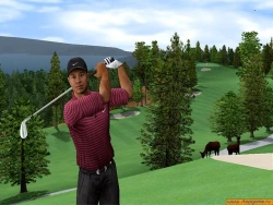 Скриншот к игре Tiger Woods PGA Tour 2005