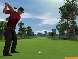 Tiger Woods PGA Tour 2005 Screenshots