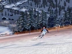 Скриншот к игре Ski Alpin 2005