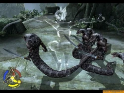 Скриншот к игре Forgotten Realms: Demon Stone