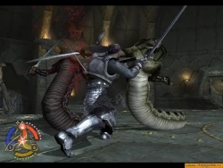 Скриншот к игре Forgotten Realms: Demon Stone