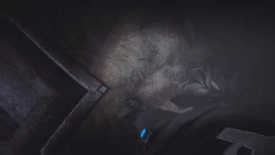 Скриншот к игре Whispering Lane: Horror