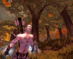 Скриншот к игре Fable: The Lost Chapters