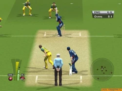 Скриншот к игре Brian Lara International Cricket 2005