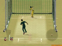 Скриншот к игре Brian Lara International Cricket 2005