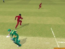 Скриншот к игре Brian Lara International Cricket 2005