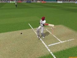 Скриншот к игре Brian Lara International Cricket 2005