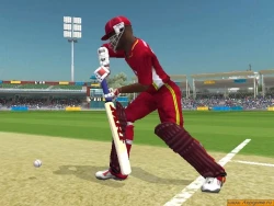 Скриншот к игре Brian Lara International Cricket 2005