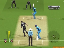 Скриншот к игре Brian Lara International Cricket 2005