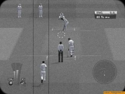 Скриншот к игре Brian Lara International Cricket 2005