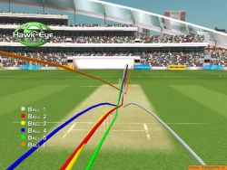 Скриншот к игре Brian Lara International Cricket 2005