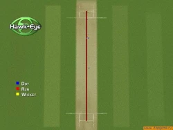 Скриншот к игре Brian Lara International Cricket 2005