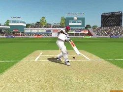 Brian Lara International Cricket 2005 Screenshots
