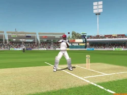 Brian Lara International Cricket 2005 Screenshots