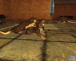 Скриншот к игре EverQuest: Omens of War