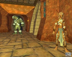 Скриншот к игре EverQuest: Omens of War