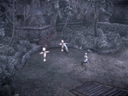 Haunting Ground Screenshots