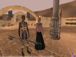 Скриншот к игре Star Wars Galaxies