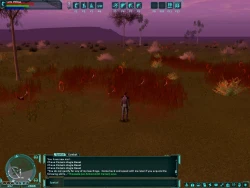Скриншот к игре Star Wars Galaxies