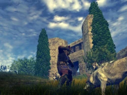 Скриншот к игре Age of Conan: Hyborian Adventures