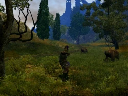 Скриншот к игре Age of Conan: Hyborian Adventures
