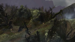 Скриншот к игре Age of Conan: Hyborian Adventures